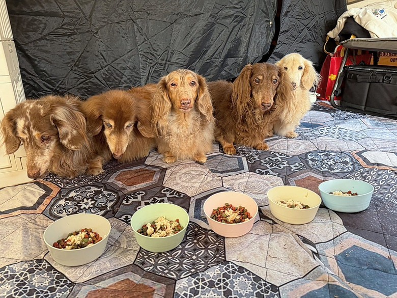 2025.12.13 CFC第9屆大團露紀實