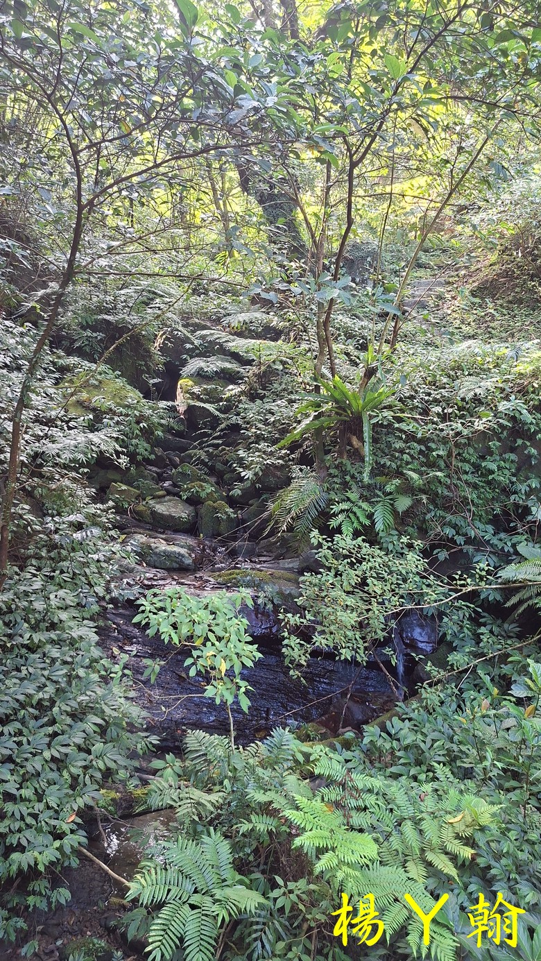 [2025 微笑山線] 北部三大岩場之 筆架連峰縱走