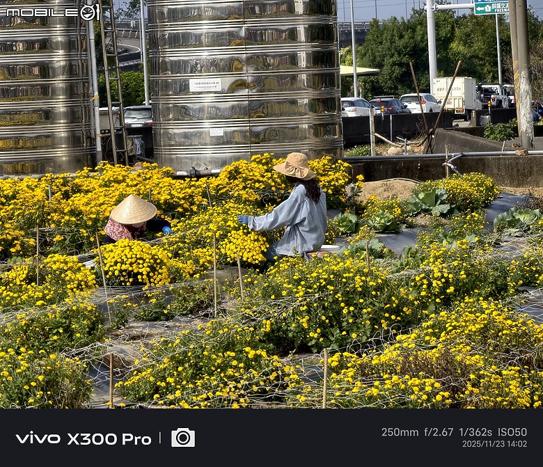 vivo X300 Pro 臺灣上市版本 旅拍攝影2個月之實拍分享