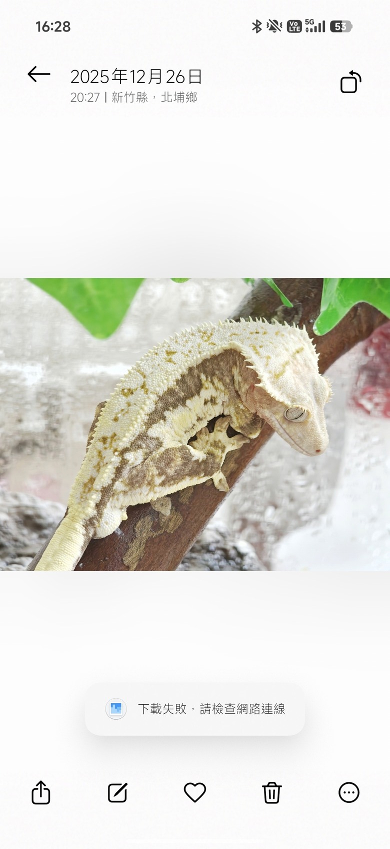 求救！POCO F8 Ultra 相簿內照片無法編輯。