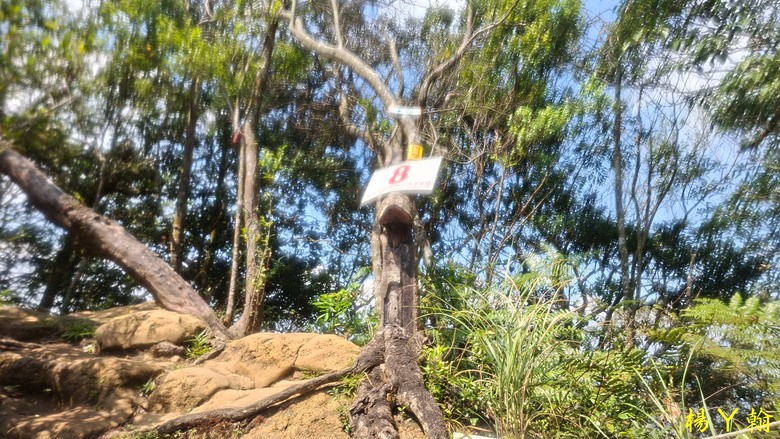 [2025 微笑山線] 北部三大岩場之 筆架連峰縱走