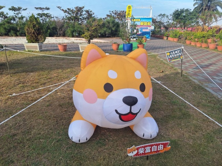 台南超萌新地標！巨型柴犬「鹹DOG DOG」攻佔七股鹽山！