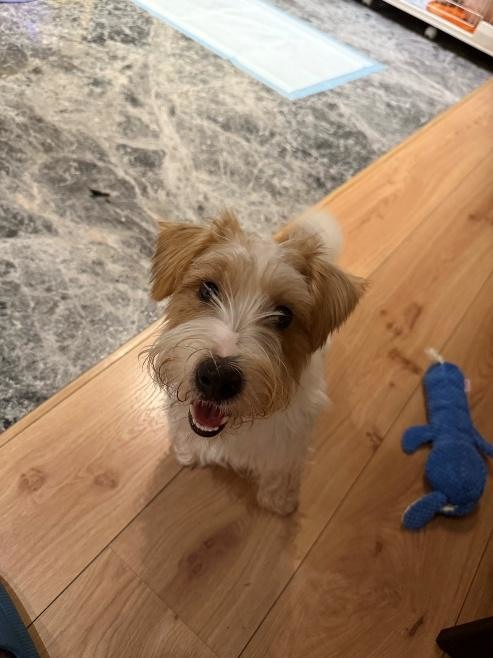 忽視牙齒的代價...洗牙後的保養之路