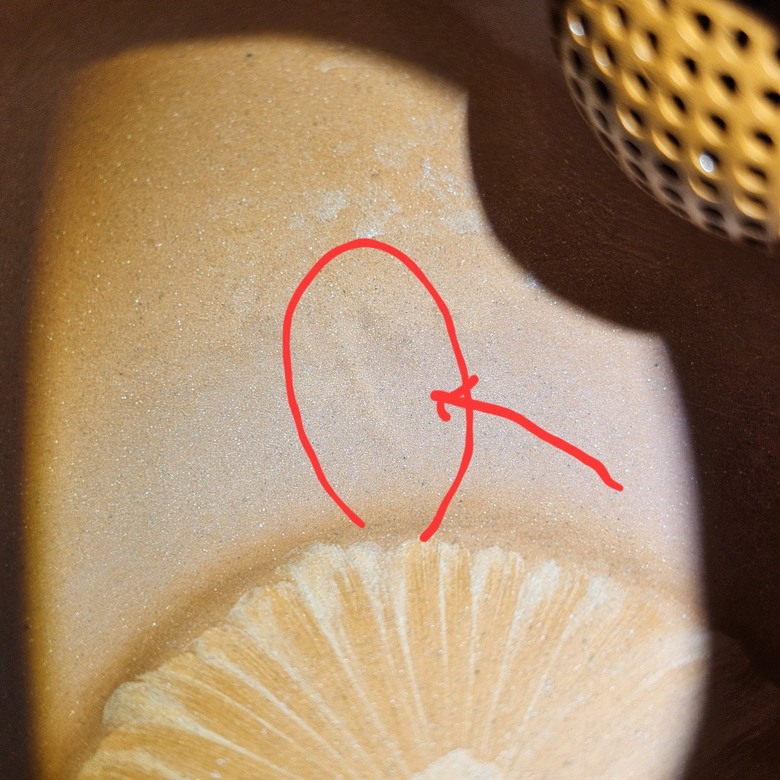 這是一把精修機車壺嗎？