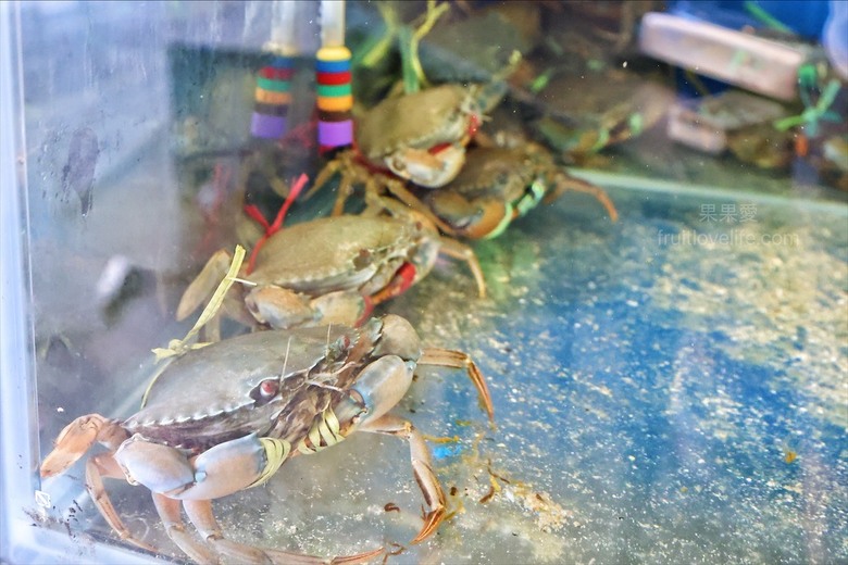 北屯薑母鴨、鮮甜紅蟳、寵物友善、冷氣開放，不分季節的好滋味