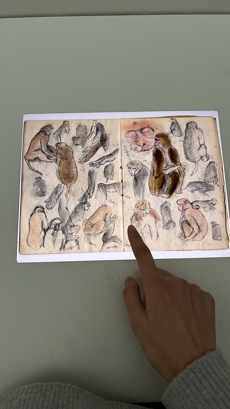 草間彌生首次回顧展在巴塞爾貝耶勒基金會