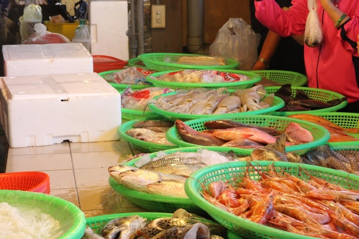 海 線 高 雄 梓 官 一 日 騎 遊 ( 下 集 )