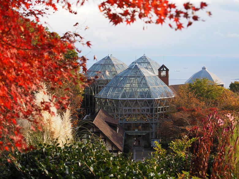 點我看大圖 神戶布引香草園