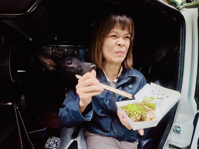 重來一次不會這樣環島/18間臭豆腐&21個車泊點最終結論