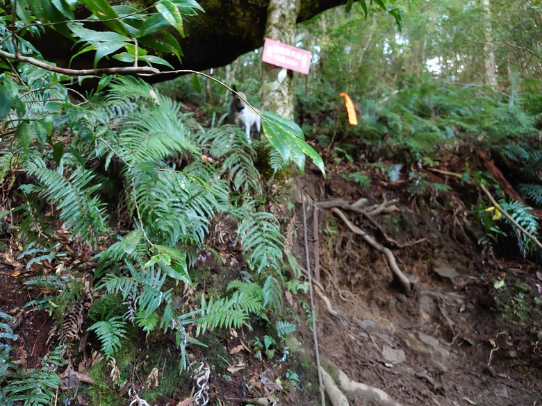 2020/12/26 霞喀羅大山、佐藤山，夜宿清泉天主堂，和April等山友一齊爬山