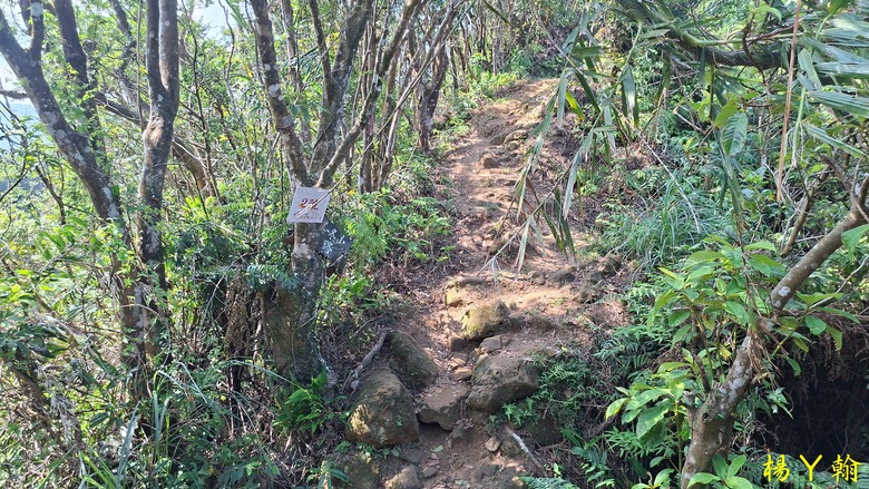[2025 微笑山線] 北部三大岩場之 筆架連峰縱走