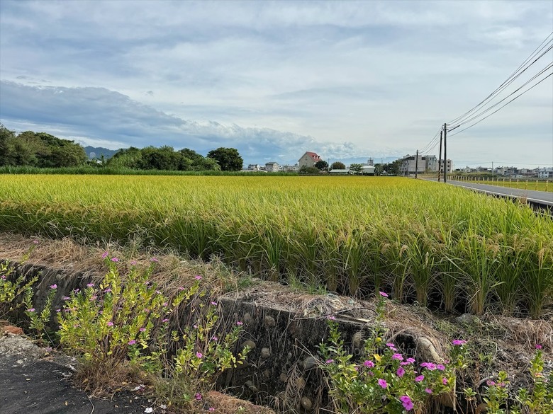 田野間超人氣泰式燒烤火鍋,湯頭三吃、高品質肉品、寵物友善、無服務費