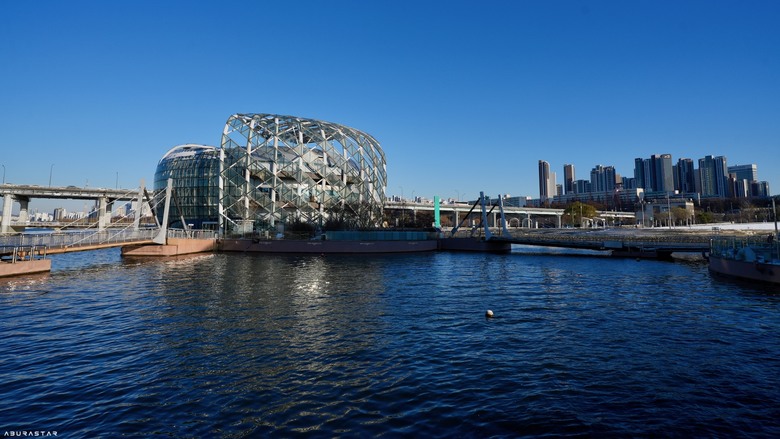 京都楓紅+富士山的10天日韓自由行