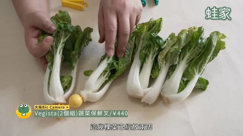 在日本買超便宜！8款實用料理神器清單，換算台幣直接省一半