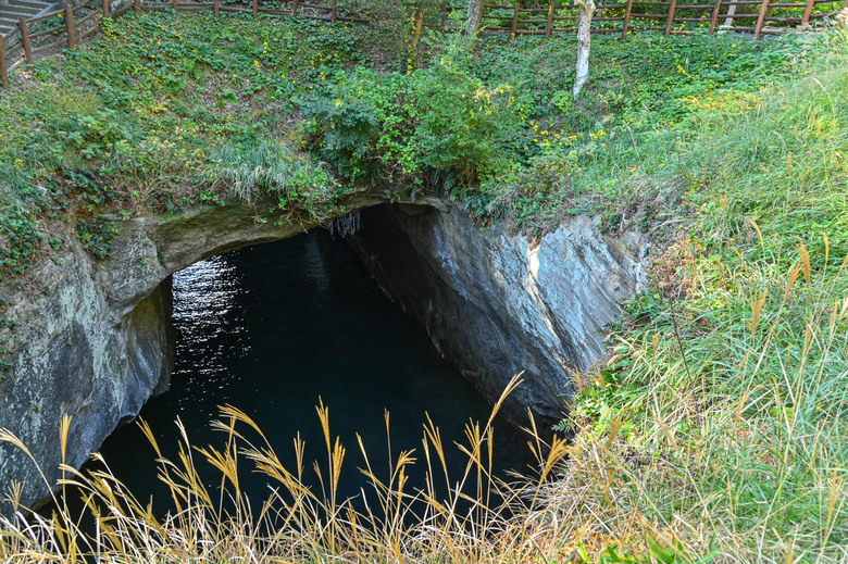 富士五湖與伊豆半島自駕6日遊 part4-堂島、天窓洞、達磨山、韮山反射爐、大室山、一碧湖、明治神宮外苑銀杏林