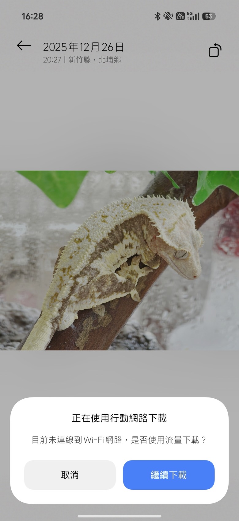 求救！POCO F8 Ultra 相簿內照片無法編輯。