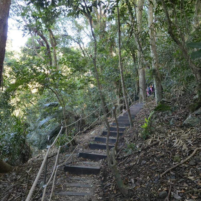 點我看大圖 【雪山坑環線步道】賽德克.巴萊電影場景,享受自然的交響曲,溪流、鳥鳴與綠意,合一身的步道!