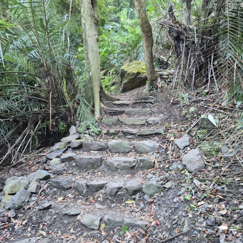 點我看大圖 【雪山坑環線步道】賽德克.巴萊電影場景,享受自然的交響曲,溪流、鳥鳴與綠意,合一身的步道!