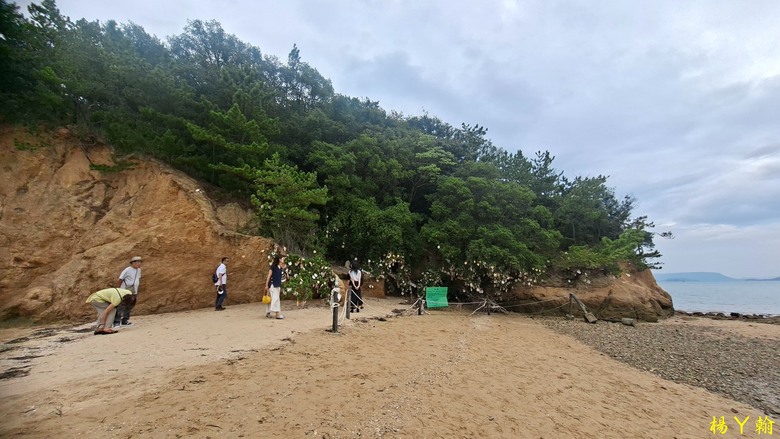 【日本岡山 5天4夜自由行 DAY 3】小豆島一日遊,寒霞溪山林奇岩美景,森林酒藏美味午餐,魔女宅急便的橄欖公園,邁向幸福的天使之路
