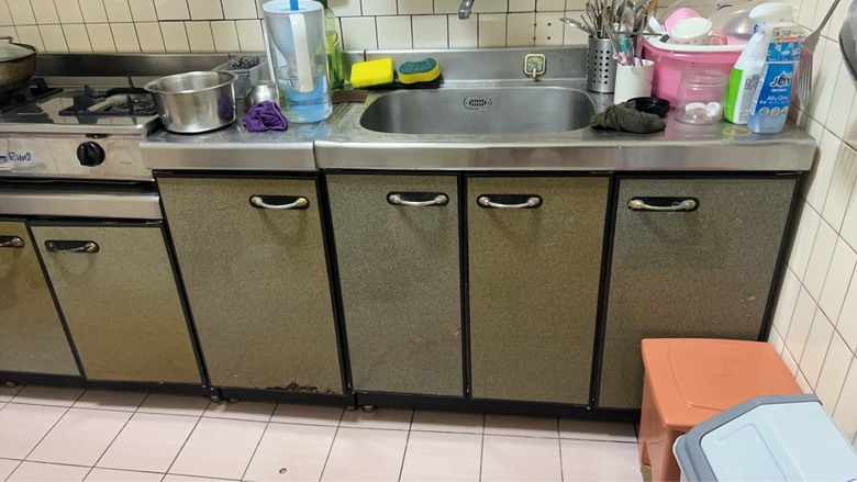 重新規劃廚房，想請教 Panasonic 嵌入式洗碗機使用心得