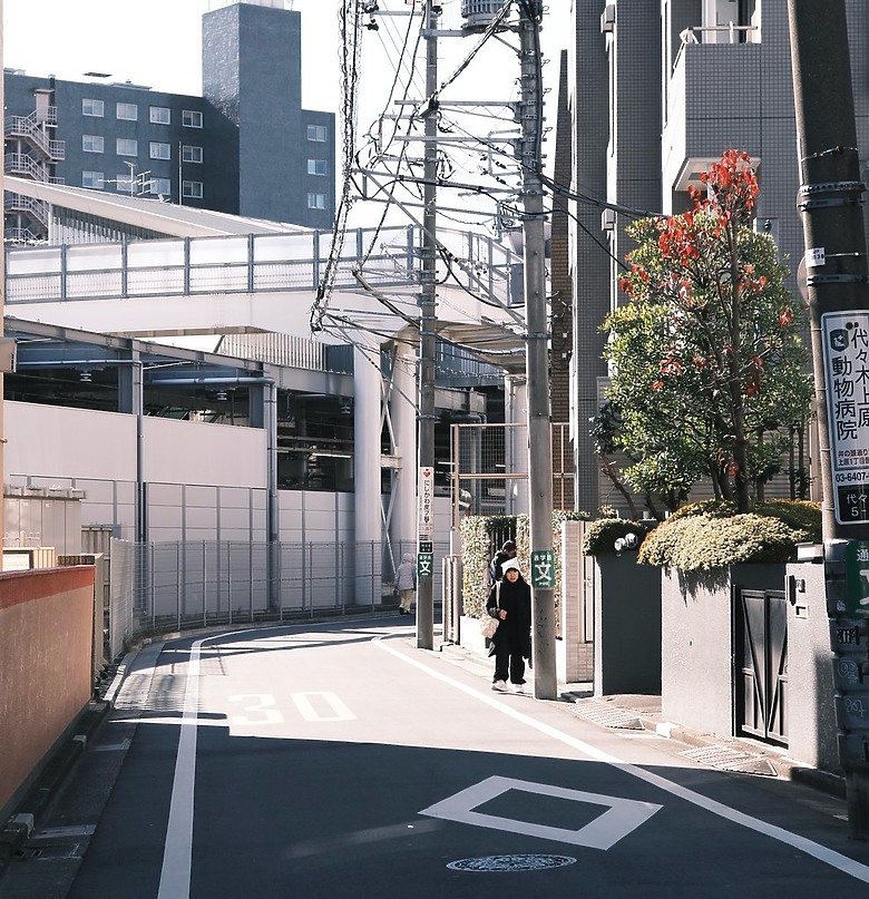 [旅拍圖多] 金澤楓景、富山老街、東京巷弄｜X-T50 + Touit 32mm 邊走邊拍