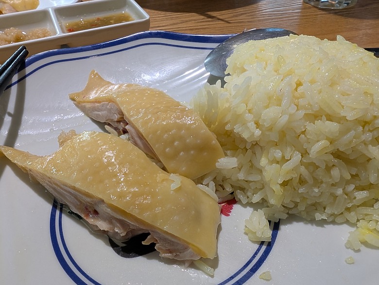 2025 澳門大白 澳門真的不大 100km 的 7日遊