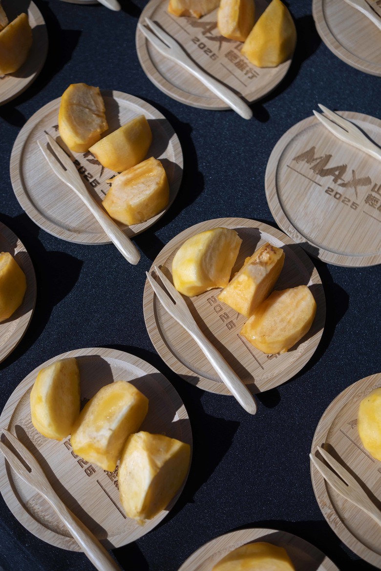 解鎖長途騎乘，2025 MAX家族山海輕旅行