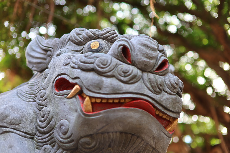 Canon RF 45mm f/1.2 STM 評測報告｜輕量、平價也能享受「超大光圈」！