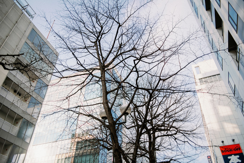 初見北海道札幌-下