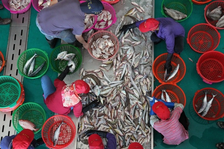 海 線 高 雄 梓 官 一 日 騎 遊 ( 下 集 )