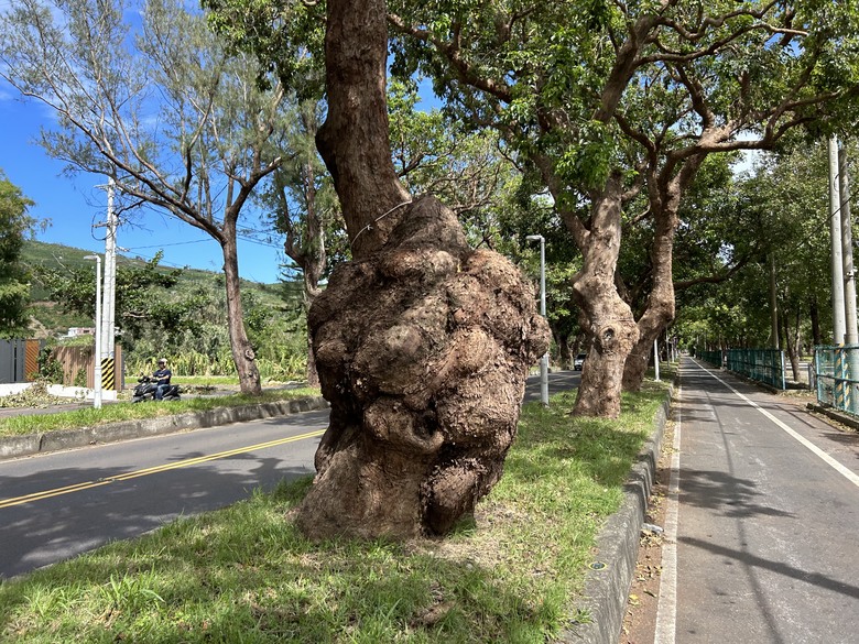 騎 訪 舊 東 線 小 站 ( 檳 榔 車 站 )