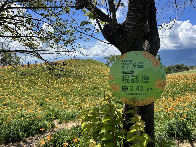 騎 遊 東 竹 小 站 ( 六 十 石 山 ) 之 旅