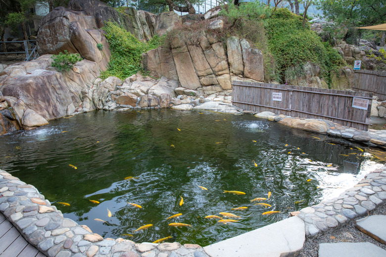 點我看大圖 在春秋交界入座,南投山林裡的食光