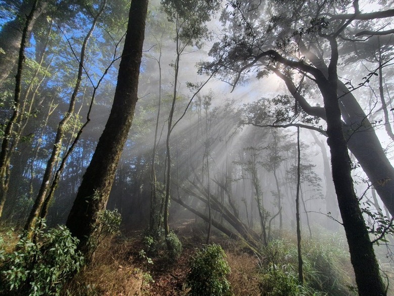 2020/12/26 霞喀羅大山、佐藤山，夜宿清泉天主堂，和April等山友一齊爬山