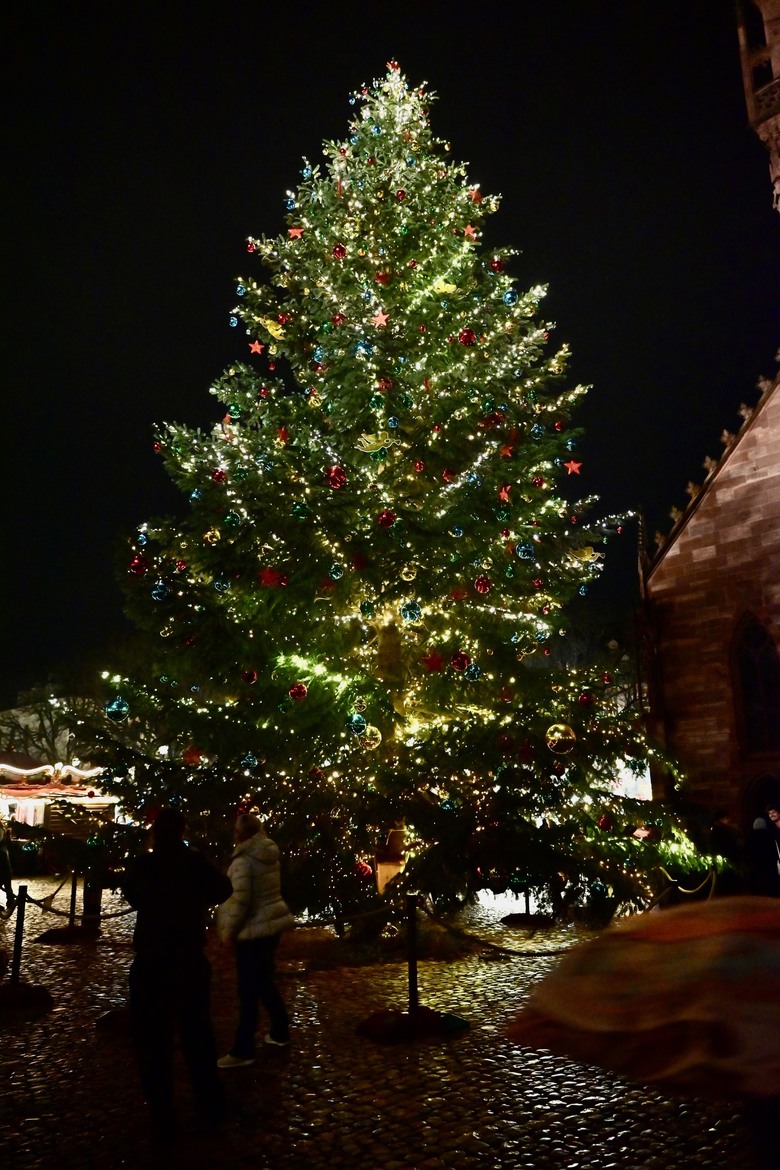 草間彌生首次回顧展在巴塞爾貝耶勒基金會