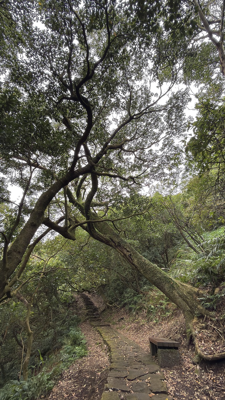 北投惇敘商工・橫嶺古道、太子亭遺跡、紗帽山散步之旅｜使用蔡司雙筒望遠鏡ZEISS Victory Pocket 10x25