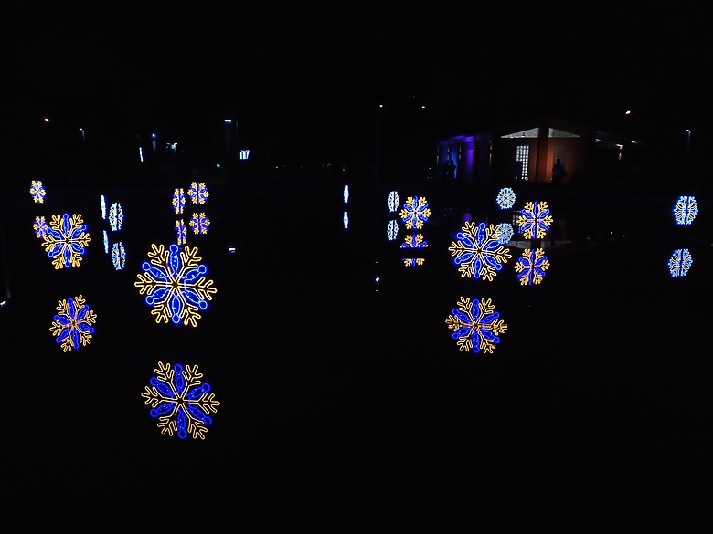 屏東公園-屏東繽紛聖誕節