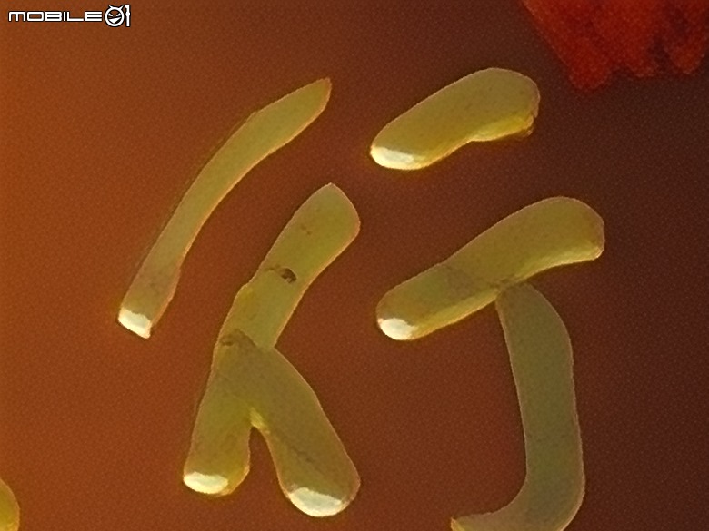 realme GT 8 Pro 體驗｜理光 GR 靈魂上身，全能旗艦闖出新路！