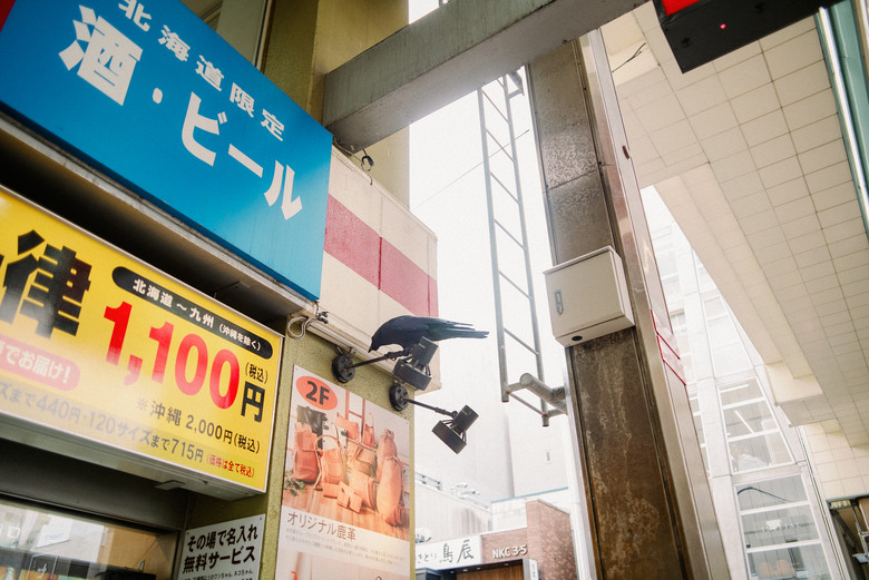 初見北海道札幌-下