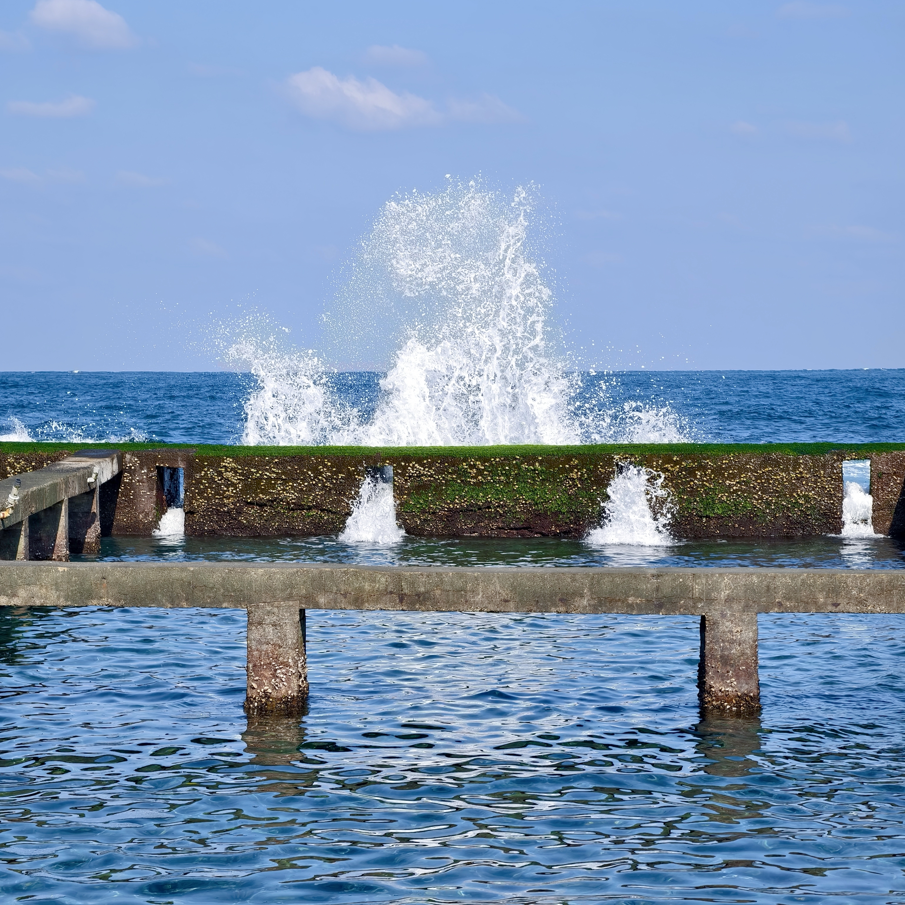 誰會在氣溫 15 度的時候，從台北騎車到馬崗漁港找海兔？（舉手，我）