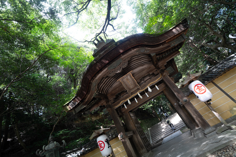 【遊記】2025二週日本遊:中國|四國|關西 - 前篇