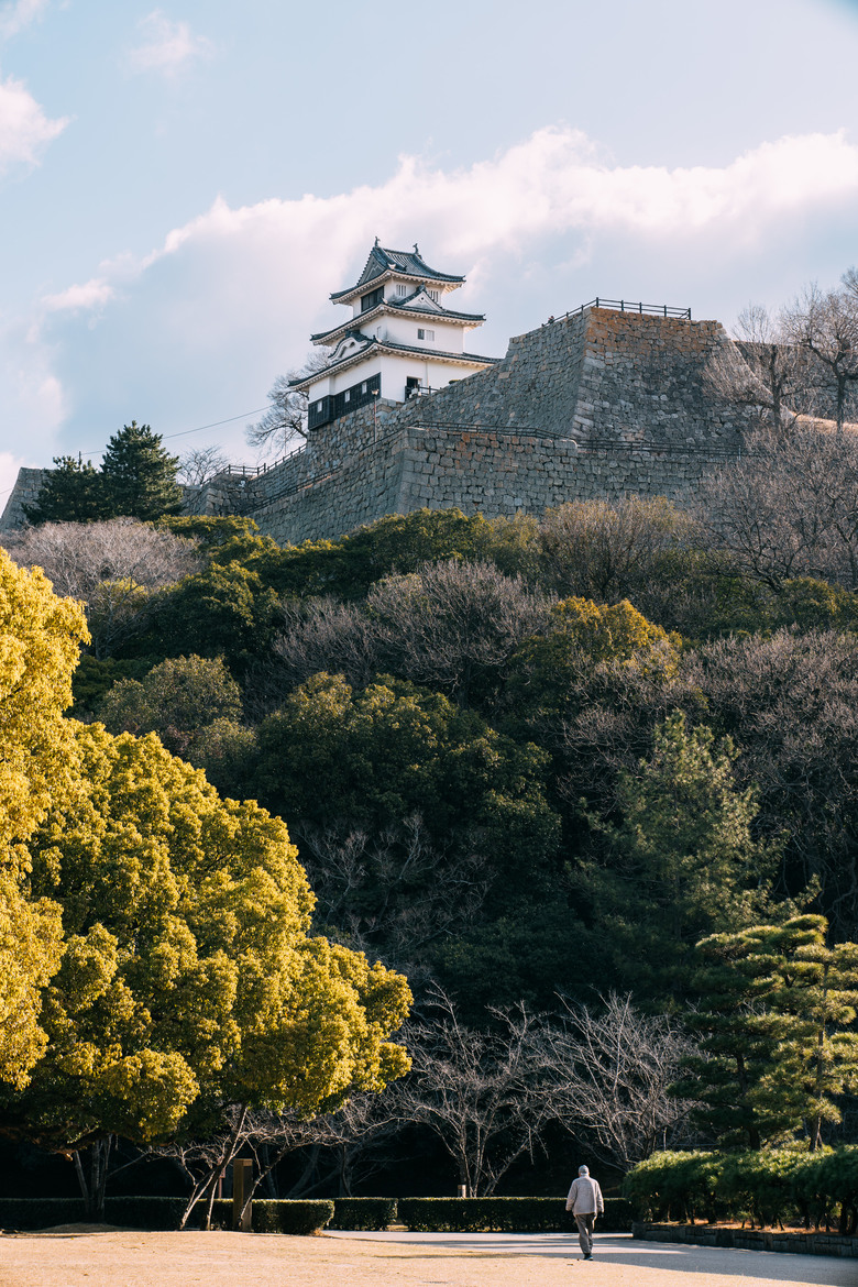 [ NIKON ZF ] 2026 四國冬日之旅 (圖超多)