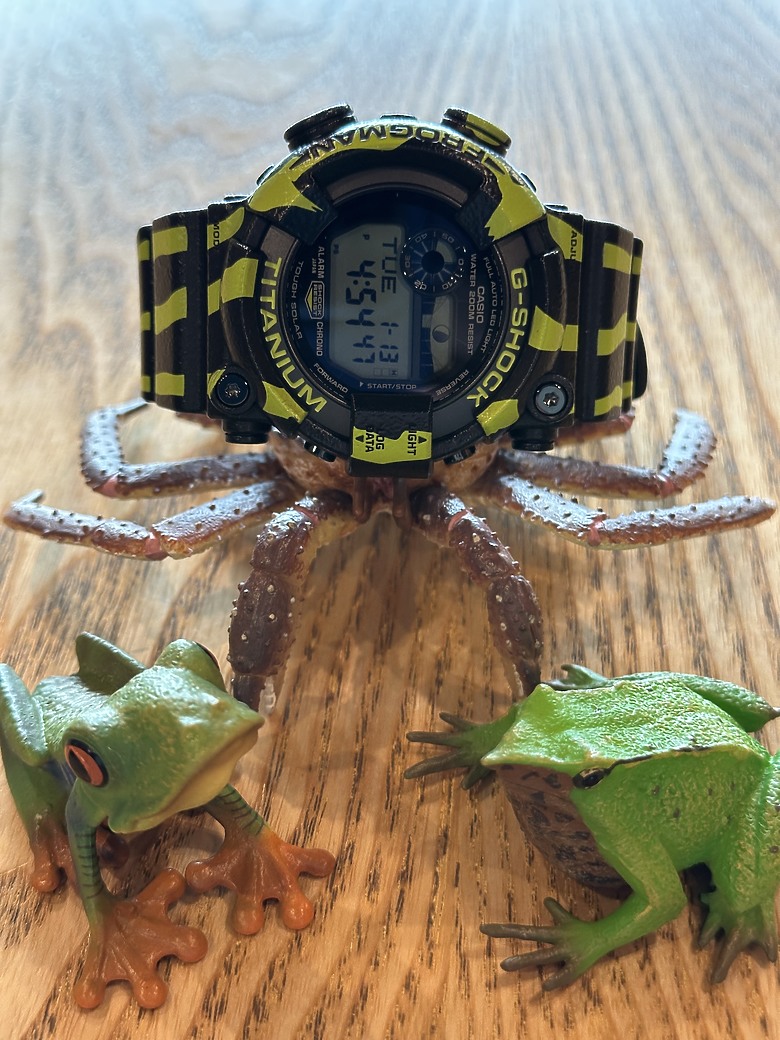 —來自南美洲雨林的靈感—FROGMAN系列GW-8200TPF-1 迷彩蛙人開箱