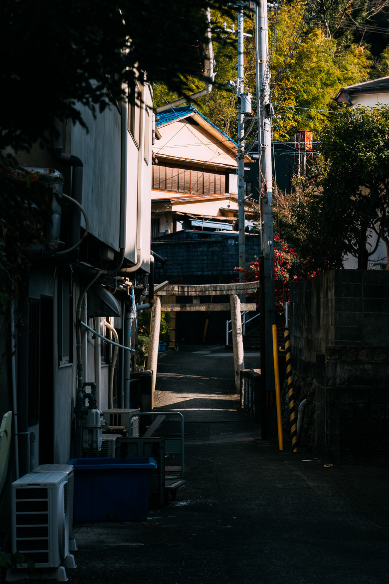 [ NIKON ZF ] 2026 四國冬日之旅 (圖超多)