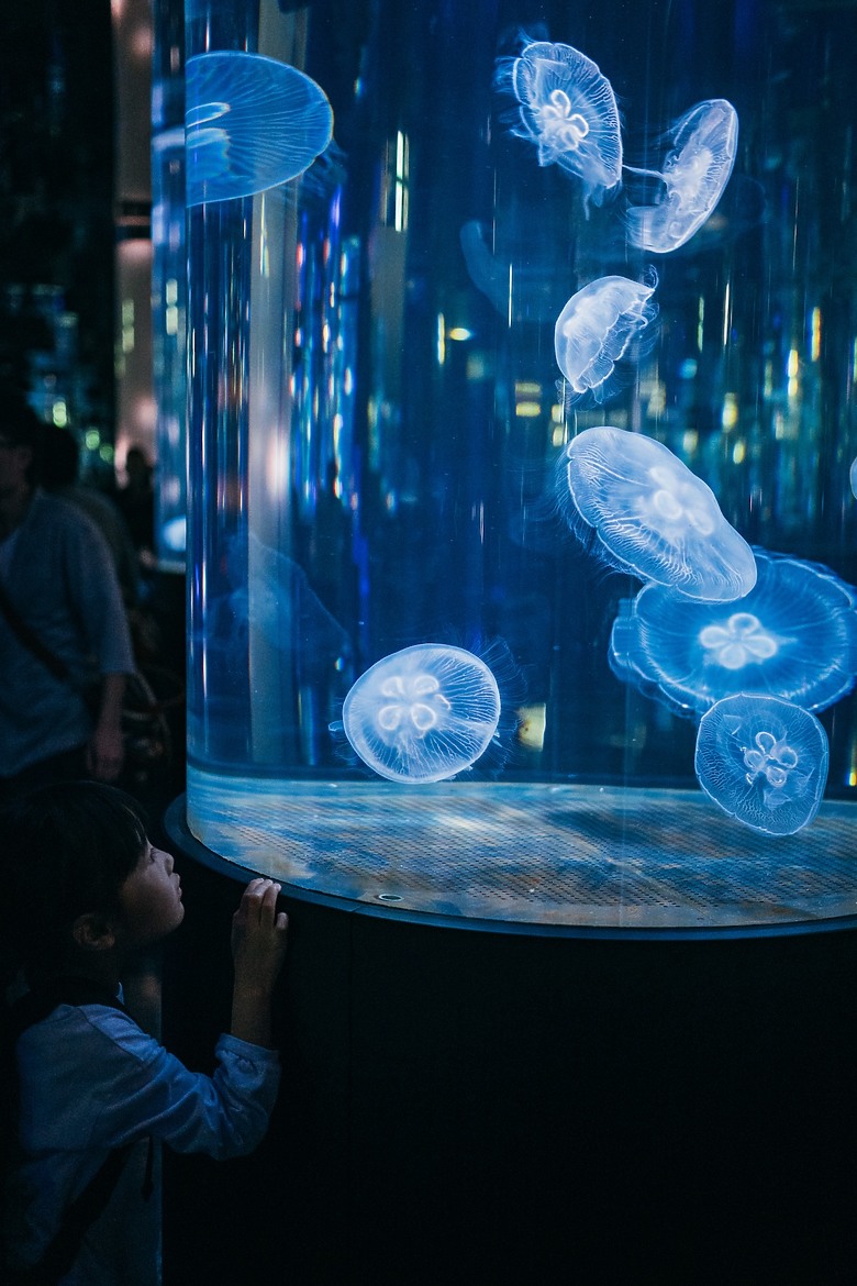 點我看大圖 2025末沖繩之旅 by Panasonic Lumix S9