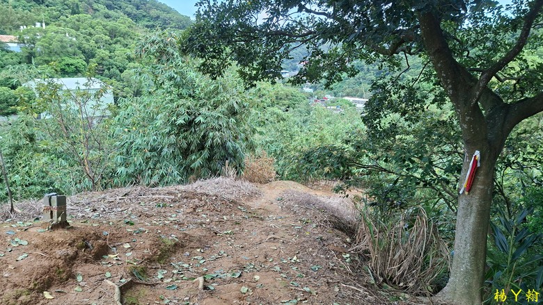 【郊山走走】尖凍山、瓊子湖山、山腳頂山 輕鬆走