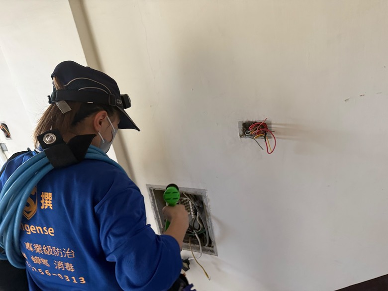 中古屋、老屋裝潢前必做這件事|裝潢前白蟻預防分享|台南除蟲消毒公司