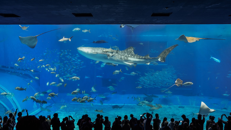 2025 沖繩耶誕之旅