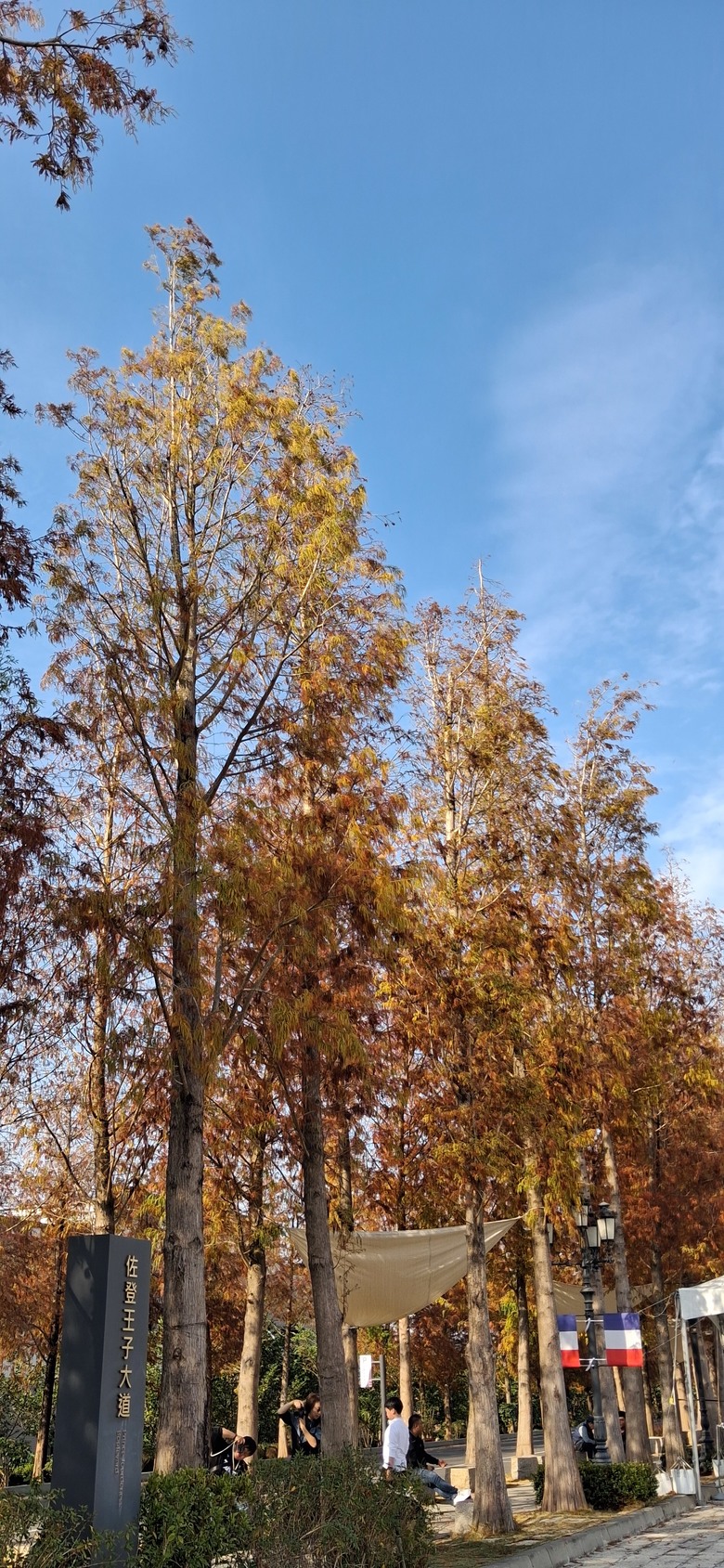 嘉義出差兩日遊