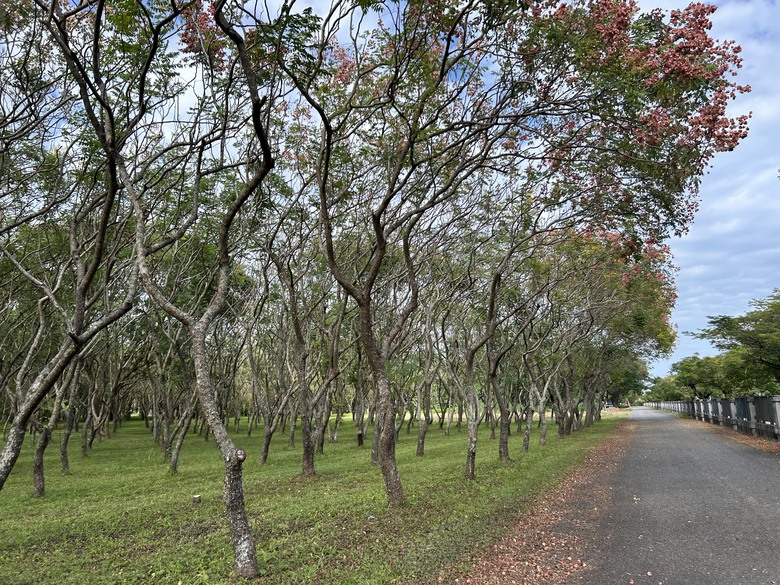 從 平 和 車 站 騎 向 東 華 大 學